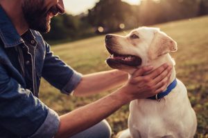 Tennessee man leaves $5 million to dog in his will: 'She’s a good girl'
